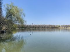 -溱湖国家湿地公园