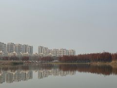 -艾溪湖湿地公园