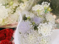 -花草间花行(法华镇路店)