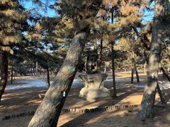 -沈阳市东陵公园