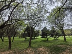 -秦始皇帝陵博物院(兵马俑)