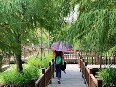 -五缘湾湿地公园