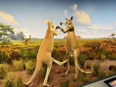 -陕西自然博物馆