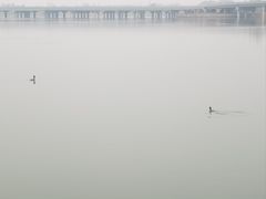 -丁香湖公园