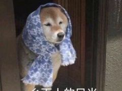 -肯德基(襄阳航空路店)