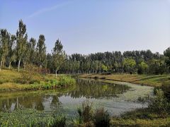-东郊湿地公园