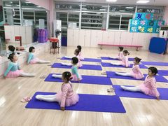 -百韵艺术少儿舞蹈培训学校(八方龙泊湾校区)