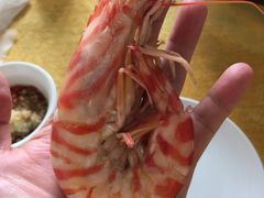 -蚝专家(北滘店)