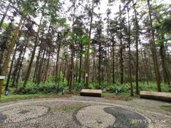 -象山森林公园