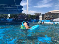 -杭州浪浪浪水公园