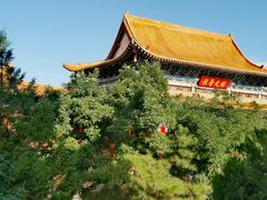 -鸠摩罗什寺