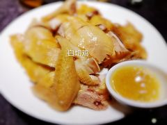 -金龙寨(龙城路店)
