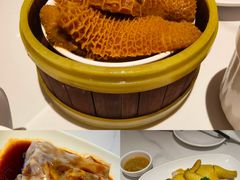 -东方早茶 海鲜•青岛菜(国信体育中心店)