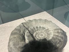 -大连自然博物馆