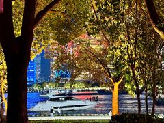 -北外滩滨江绿地