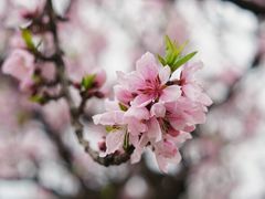 -江南大学(蠡湖校区)