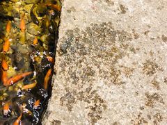 -邈墨茶馆(凤起路店)