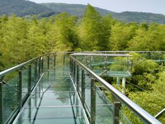 -陶祖圣境风景区