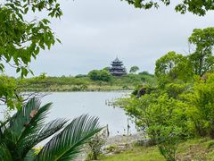 -上海海湾国家森林公园