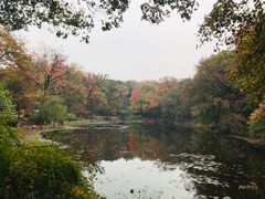 -灵谷景区