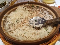 -饭怕鱼(阳光100店)