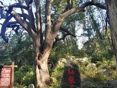 -北京密云天门山风景区