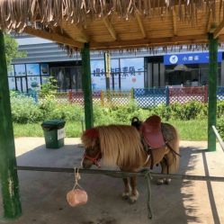 -萌宠亲子动物乐园(槐房万达店)