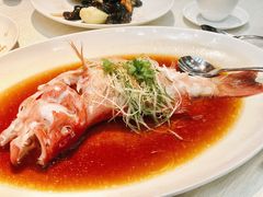 清蒸东星斑-御宝轩(益丰·外滩源店)
