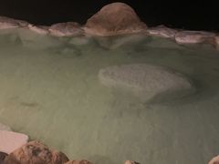 -南紀白浜 浜千鳥の湯 海舟