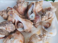 -明记海鲜大排档(巽寮湾店)