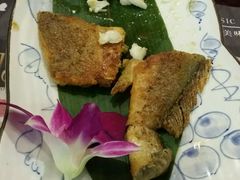 -古田居·特色寿司料理(星之岛旗舰店)