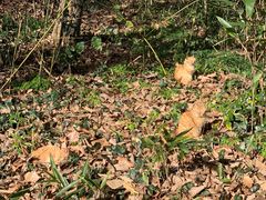 -南山风景名胜区