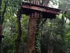 -WeLope紫金山探险公园