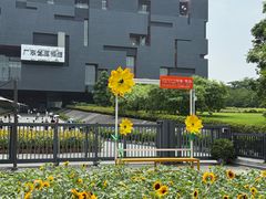 -广东省博物馆
