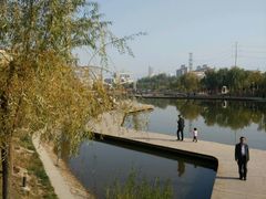 -雁滩公园