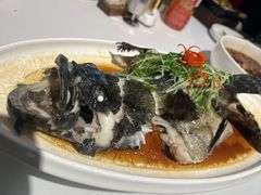 -YAFEE雅菲·粤菜·湘菜·融合菜(魏公村店)