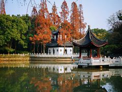 -汇龙潭