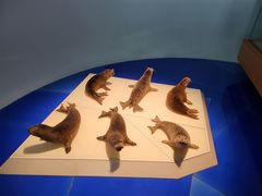 -上海自然博物馆