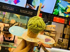 -野人先生现做冰淇淋(西安赛格店)