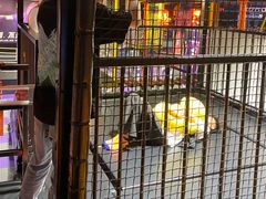 -Tenker Club弹刻极限主题公园 · 蹦床 · 团建 · 生日派对(大关店)