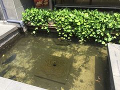 -泉乐坊步行街(烟酒特产平价超市店)