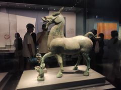 -广西壮族自治区博物馆