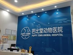 -芭比堂动物医院·CT·微创中心(新顺分院)