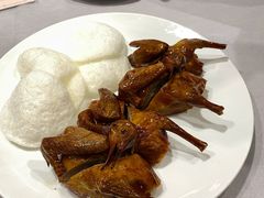 红烧乳鸽皇-丰鲤楼•闽南茶楼(仟禧汇店)