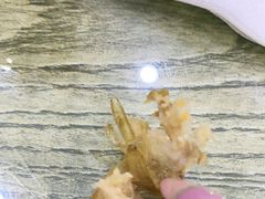 -兰边碗(鼓楼店)