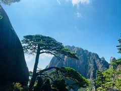-黄山风景区