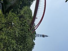 -金鸡山公园