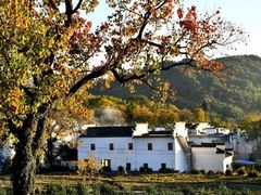 -塔川景区