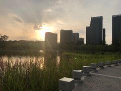 -西海子公园