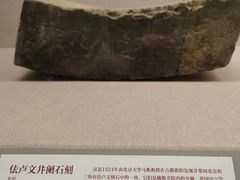 -北京大学赛克勒考古与艺术博物馆